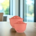 thumbnail image 1 of PBPBOX Hanging Wall Planter for Window Red 2Pcs, 1 of 8