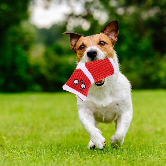 PBPBOX Puppy Squeaky Toys Chewing Plush Red 2Pcs