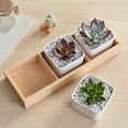 thumbnail image 1 of PBPBOX 2Pcs Premium Wood Divided Storage Box with 3 Lattices for Flowerpot Display and Kitchen Utensil Holder, 1 of 6