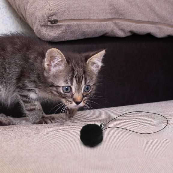 PBPBOX Interactive Cat Toy Balls Plush Black 4Pcs 8.5x1.9In
