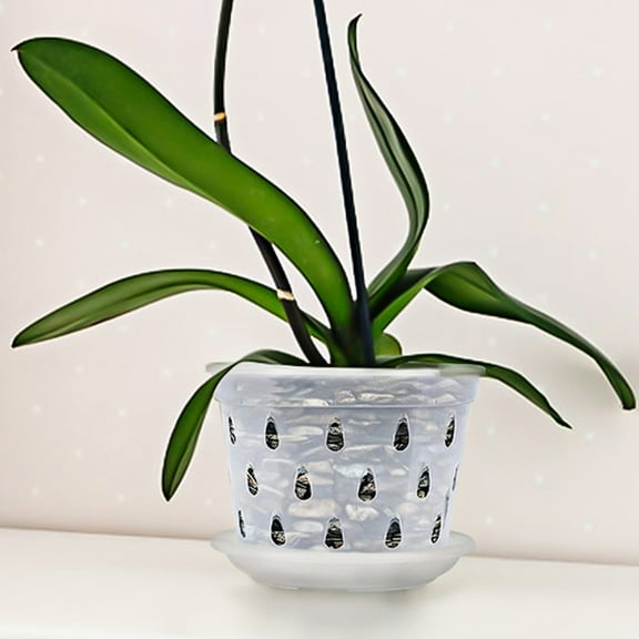 PBPBOX 5Sets Sturdy Transparent Orchid Pots with Holes and Tray for Plant Care