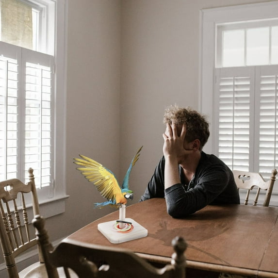 PBPBOX 1 Set of Parrot Ring Toss Game Yellow Accessories for Bird Cage Playtime