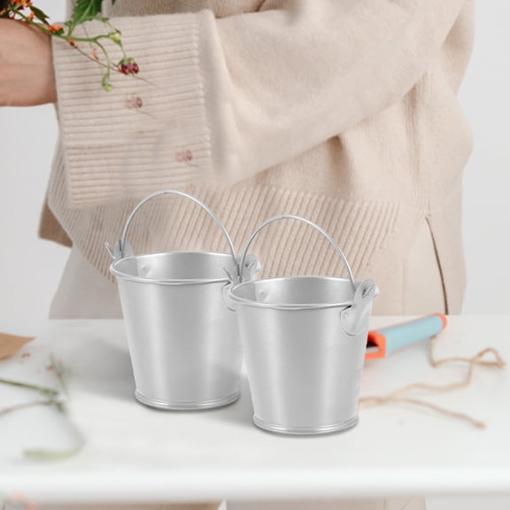 PBPBOX 5Pcs Vintage Flower Buckets Tinplate Mini Buckets Silver Home Use