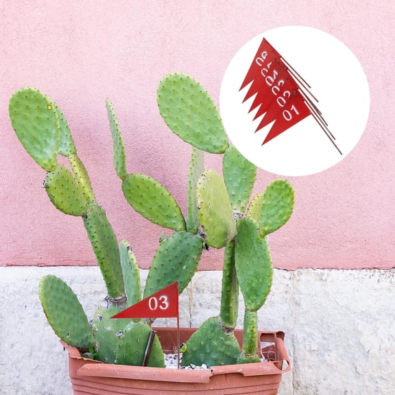 PBPBOX 6Pcs Summer Outdoor Flags Marking Flags for Garden and Lawn 15.5X20Cm