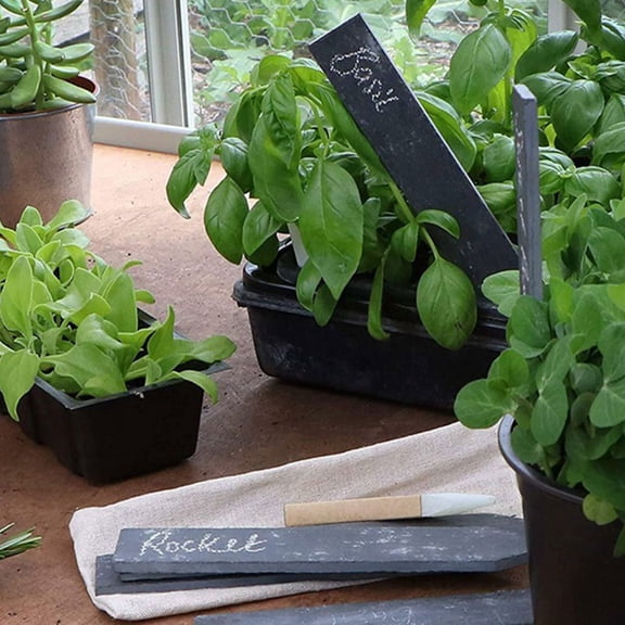 PBPBOX 6Pcs Garden Plant Markers Slate Stone Waterproof for Succulents and Flowers