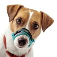 thumbnail image 1 of PBPBOX Breathable Polyester Dog Muzzle Green Adjustable Anti Biting Chewing Pet Supply, 1 of 5
