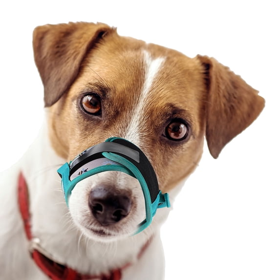 PBPBOX Breathable Polyester Dog Muzzle Green Adjustable Anti Biting Chewing Pet Supply