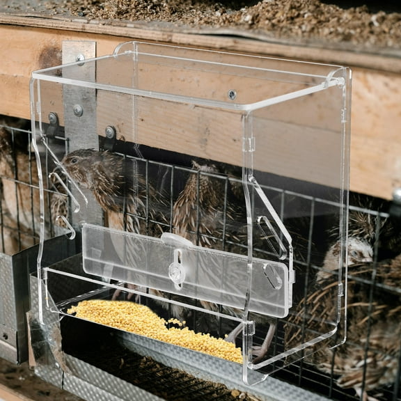 PBPBOX Transparent Acrylic Chicken Feeder Automatic Food Dispenser for Poultry