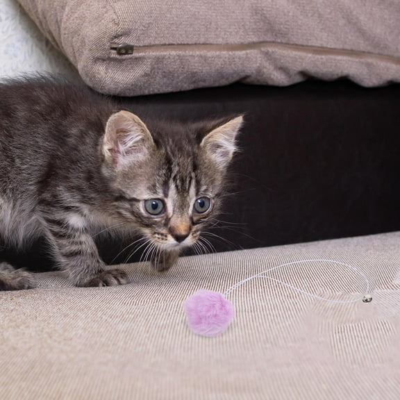 PBPBOX Cat Toy Balls Plush Violet 4Pcs 8.5X1.9X1.9In