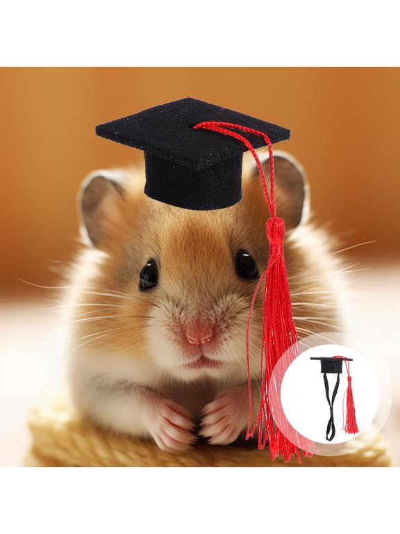 Versatile Black Graduation Cap for Hamsters Guinea Pigs Decorative