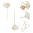 thumbnail image 1 of PBPBOX 6Pcs Aromatherapy Flower Diffuser Sticks Khaki Fireless Scented Stick Set, 1 of 8