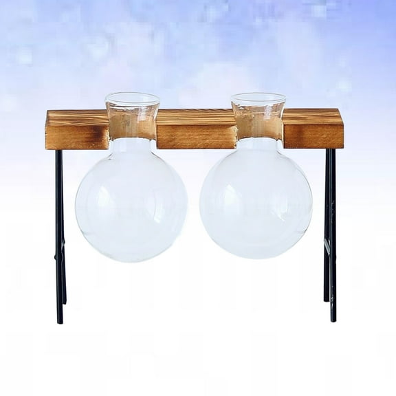 PBPBOX Planter Bulb Vase Glass Propagation Vase Round Air Purification Indoor Garden 2Set
