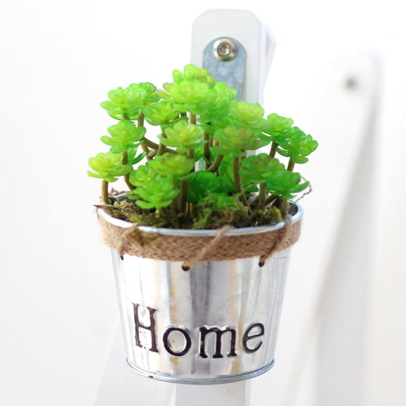 PBPBOX Rustic Style Silver Wall Hanging Planter Basket for Indoor Flower Display