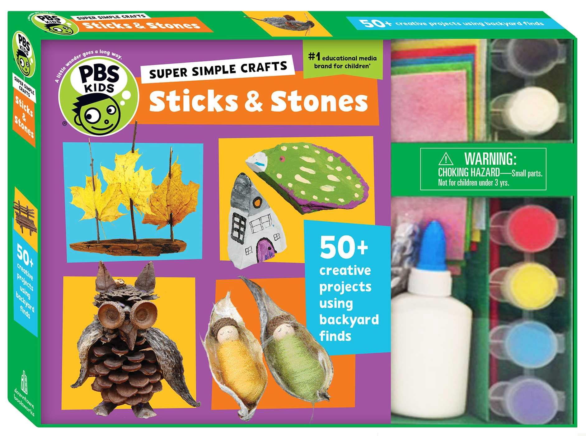 pbs-kids-super-simple-crafts-sticks-and-stones-series-1-other