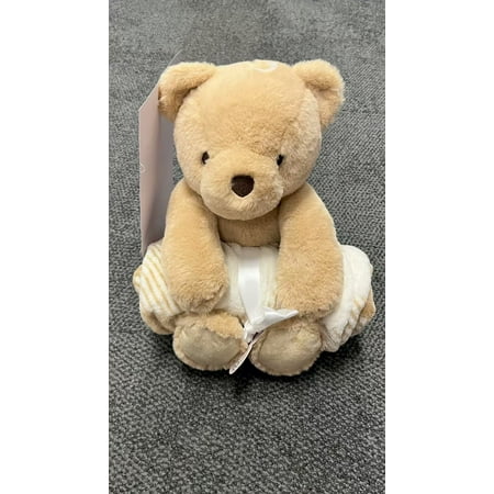 PC BEAR ROLLED BLKT
