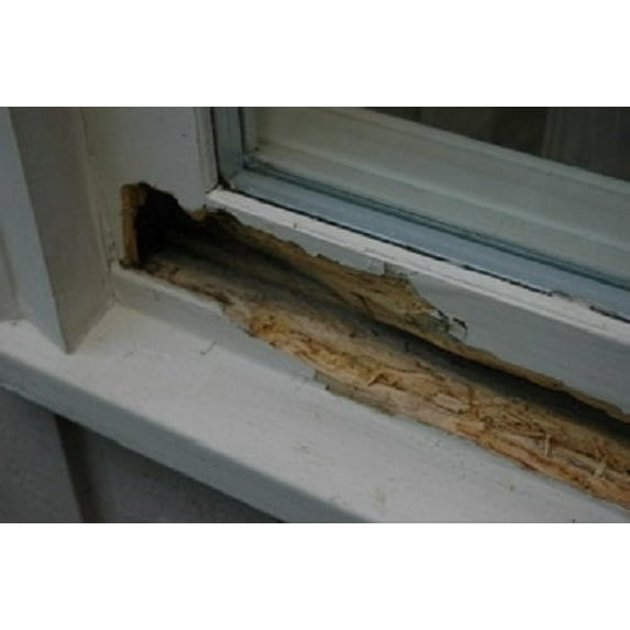 PC Products PC-Petrifier Water-Based Wood Hardener, 1 gal, Milky White 128442