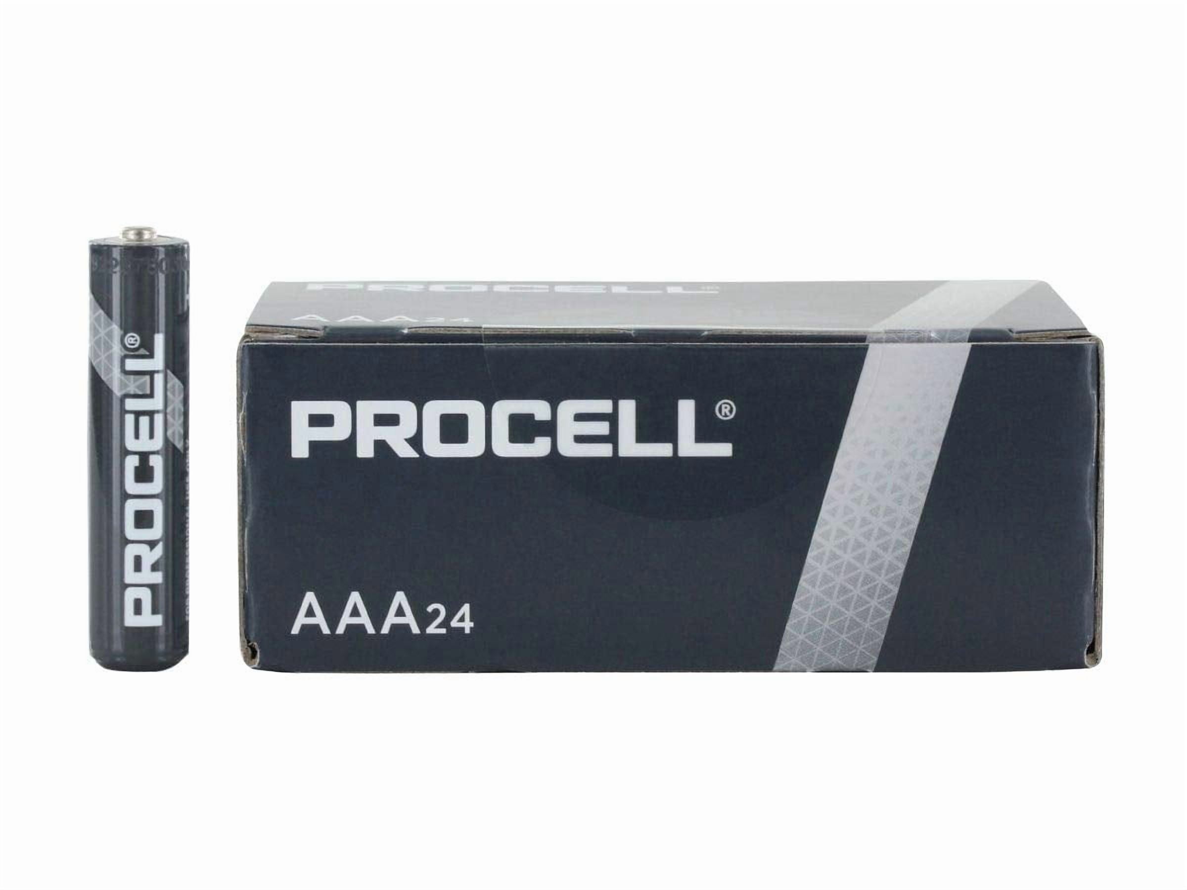 PC2400 AAA, 24 Count (Pack of 1)