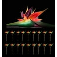 thumbnail image 1 of PCS Pack of 18 Gorgeous 43" Touch Bird of Paradise Artificial Silk Sprays, Feel Real Tech, Large Permanent Flower, Super Quality, 18 Pieces, Eeach, Orange, Red and Green, 1 of 2