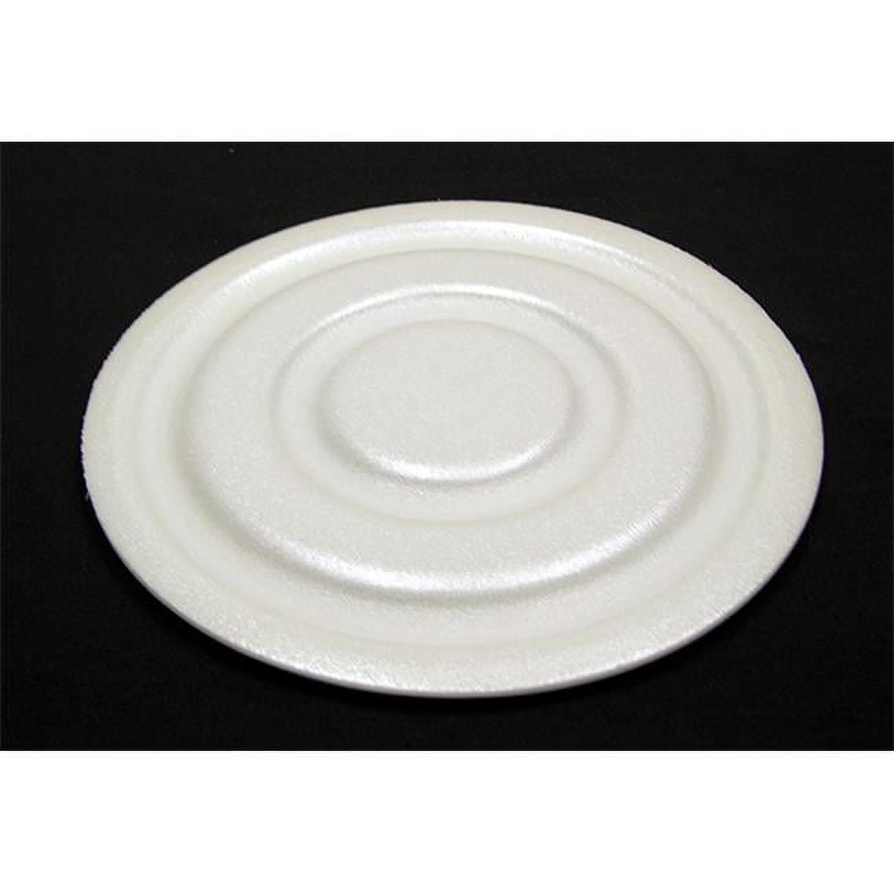 CIRCLE FOAM 8.25" WHITE