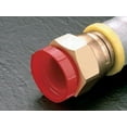 thumbnail image 1 of PD-160 Plastic Threaded Plugs for Flared Fittings, 1 of 1