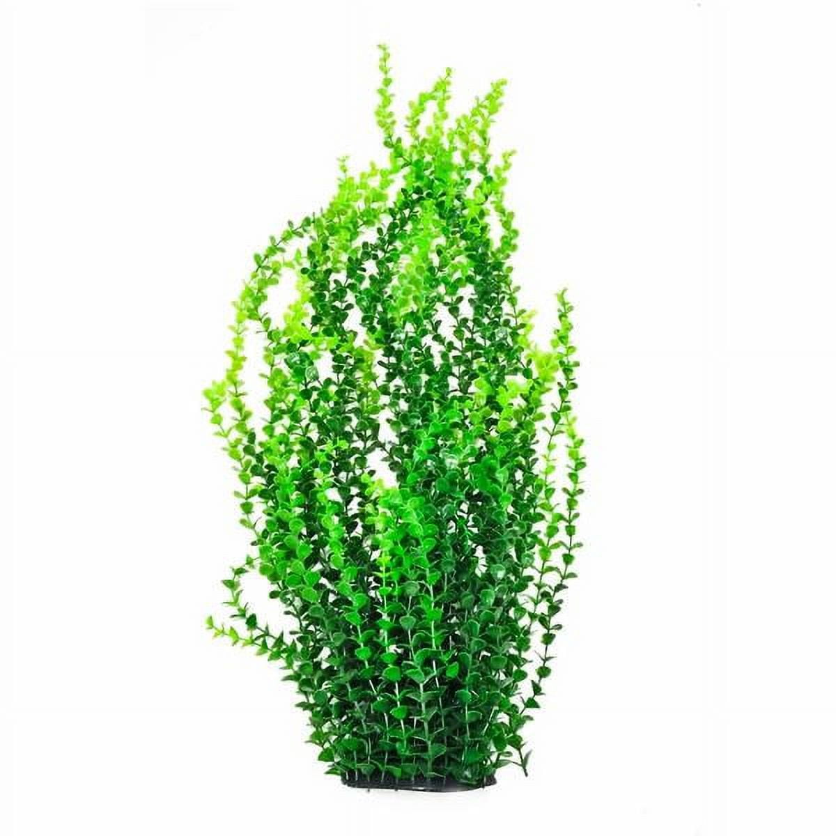 PD-BH57 30" Tall Plant Dark Green w/weighted base Bag & Header