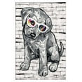 thumbnail image 1 of PD Moreno - Dog Glasses Wall Poster, 14.725" x 22.375", Framed, 1 of 3