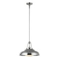 thumbnail image 1 of PD344014PNGO-Alora Lighting-Palmetto - 1 Light Pendant-11.63 Inches Tall and 14.5 Inches Wide-Polished Nickel Finish, 1 of 3