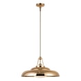 thumbnail image 1 of PD344020PBGO-Alora Lighting-Palmetto - 1 Light Pendant-11.75 Inches Tall and 20 Inches Wide-Polished Brass Finish, 1 of 4