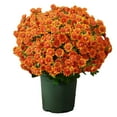 thumbnail image 1 of PDNRPSP 5 Bundles Artificial Sunset Mums, Artificial Outdoor Sunset Mums Flowers, Artificial Mums Outside Porch UV Resistant Waterproof Windproof (Orange), 1 of 8