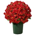 thumbnail image 1 of PDNRPSP 5 Pcs Fall Outdoors Artificial Mum Flowers, UV Resistant Fake Silk Chrysanthemum, Fall Decor Pots for Autumn Garden Patio Window Box Planter Home Decor (Red), 1 of 8