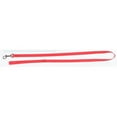 thumbnail image 1 of PDQ 2957203 Nylon Dog Lead, 1"x6', 1 of 2