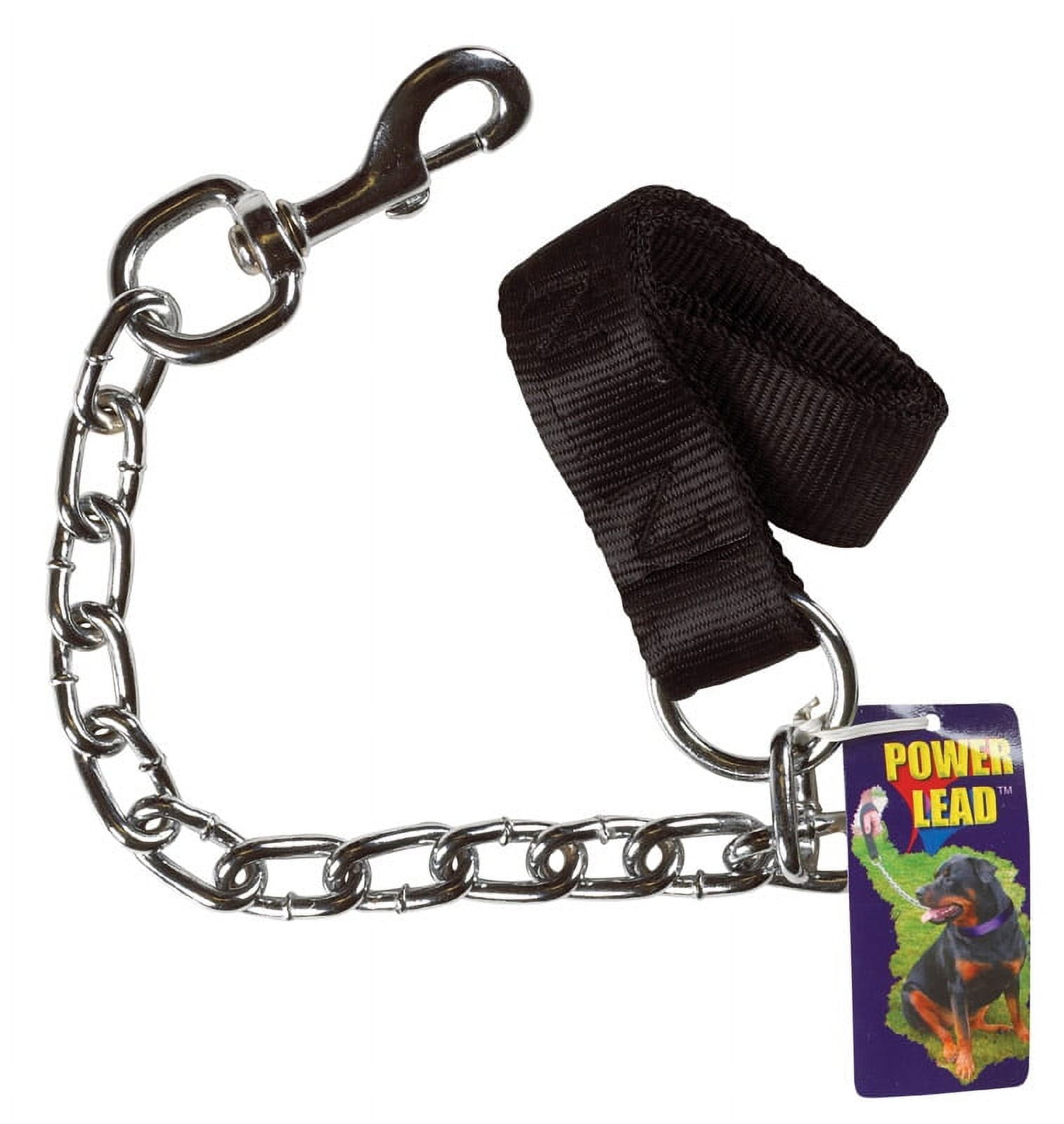 Steel sale dog lead
