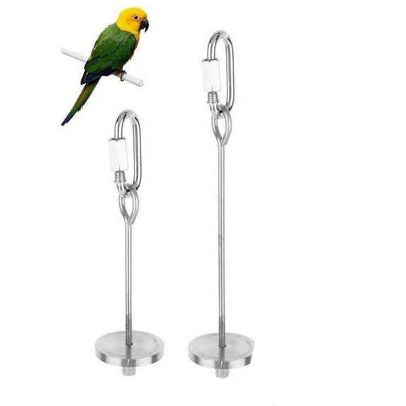 PEACNNG 2 Pcs Parrot Skewer, Stainless Steel Vegetable Fruit Stick Hanging Holder Birds Foraging Toy Spear Feeder for Bird Cage Accessories