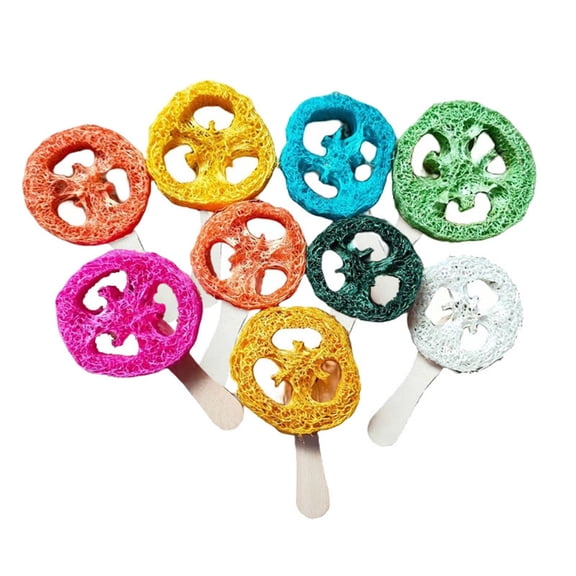 PEACNNG Play n Chew Loofah Slices - Pack of 4 gnaws and grinds teeth to clean teeth and remove tartar