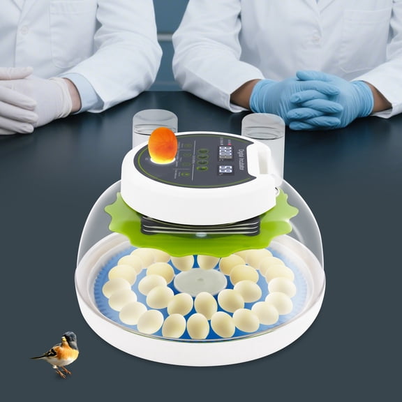 PEAKORA 33 Egg Automatic Digital Quail Incubator w/ Auto Turn Waterer Dual Power US Plug,33 Eggs Quail Egg Incubator Modern Small Quail Brooder Poultry Quail Incubator