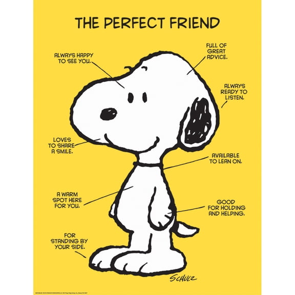 PEANUTS THE PERFECT FRIEND 17X22 POSTER