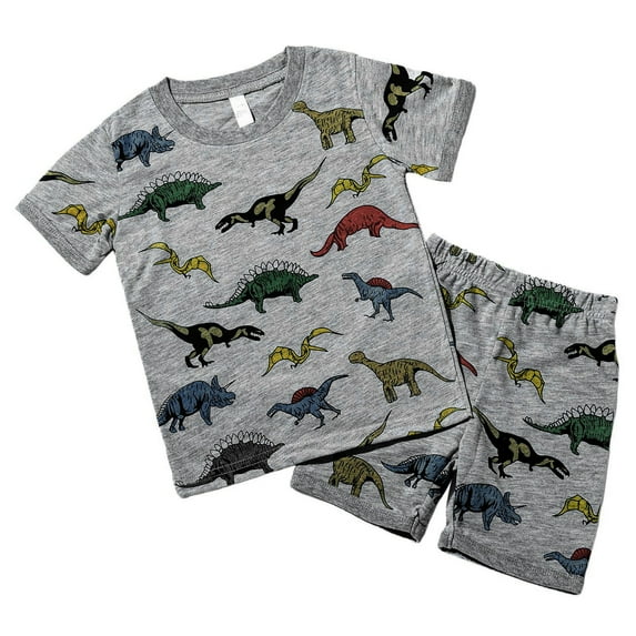 PEASKJP Boys Clothes Short Sleeve Print T-Shirt Short Sets Boys Summer Outfits 2-8 Years,Size 4-5 Years