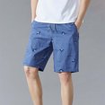 thumbnail image 1 of PEASKJP Men Shorts Summer Mens Hiking Cargo Shorts Lightweight Quick Dry Casual Shorts Outdoor Fishing Golf Shorts with Multi Pockets (Light Blue,5XL), 1 of 4