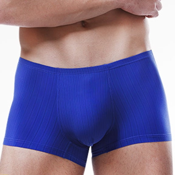 PEASKJP Mens Underpants Big and Tall Men's Underwear Breathable Super Soft Comfort Lightweight Pouch Boxer Briefs (Blue,L)