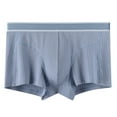 thumbnail image 1 of PEASKJP Panties for Women Men's Underwear Micro Stretch Boxer Brief (Light Blue,XL), 1 of 2