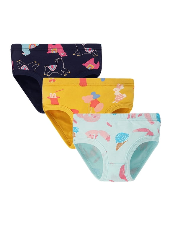 Plastic Underwear for Toddlers BABY Training Underwear Absorbent Cotton Potty Training Pants for Boys and Girls Blue,2-3 Years