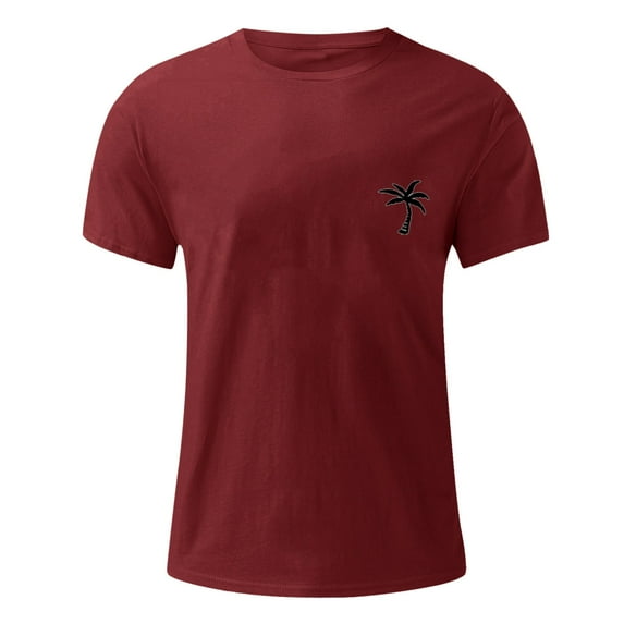 PEASKJP Summer Tops Men Men's Crew Neck Moisture Wicking Active Athletic Tech Performance T Shirt (Red,3XL)