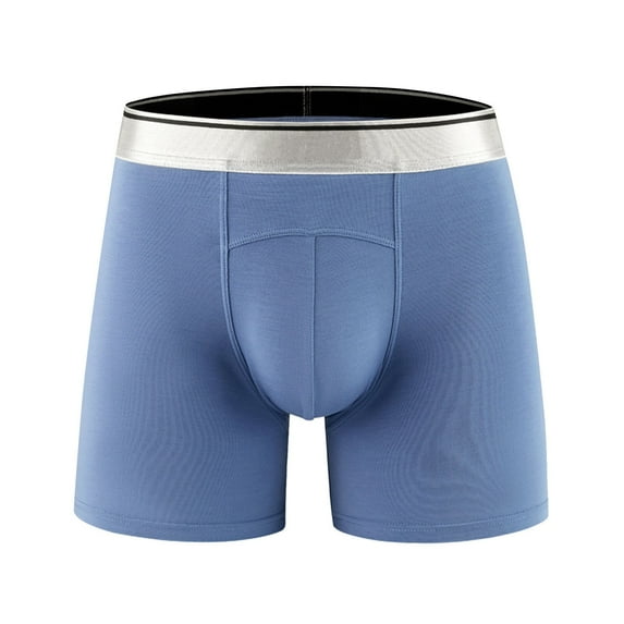 PEASKJP Underwear for Mens Big and Tall Men's Dual Pouch Underwear Micro Modal Trunks Separate Pouches with Fly (Blue,L)