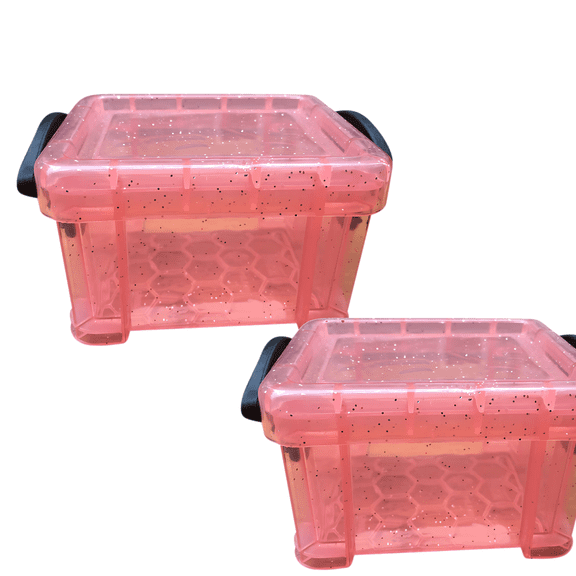 PEIBang 2 Pack Clear Plastic Box Organizer,Small Storage Containers with Lids,Mini Plastic Box for Small Crafts Accessories Beads Jewelry Clips Candy