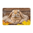 thumbnail image 1 of PEIBang Easter Bunny Doormat 24x16 Inch,Polyester Decorative Welcome Mat for Outdoor Indoor Doorstep,Washable Non-Slip Rug, 1 of 7