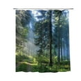 thumbnail image 1 of PEIBang Forest Shower Curtain,Forest Trees Bath Curtains for Bathroom,Waterproof Fabric Bathroom Decor, 1 of 3