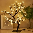 thumbnail image 1 of PEIDUO Money Tree, 22 Inch Gift Card Tree Holder with 6 Clips and 6 Greeting Cards, 24 Warm White Birch Tree with Lights, Christmas Tree Card Holder for Birthday Wedding Indoor Xmas Decorations, 1 of 9