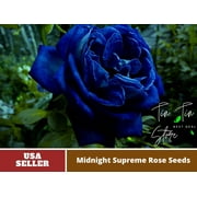 PEMDASGARDEN 30 Rare Seeds Midnight Supreme Rose Plant Seeds 4 Pack, Authentic Flower Seeds