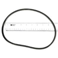 thumbnail image 1 of Pentair U9171 Starite 8 Trap O-Ring, 1 of 1