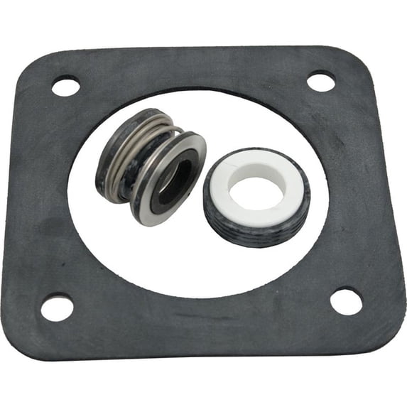 Seal Kit, Pentair Sta-Rite DuraGlas